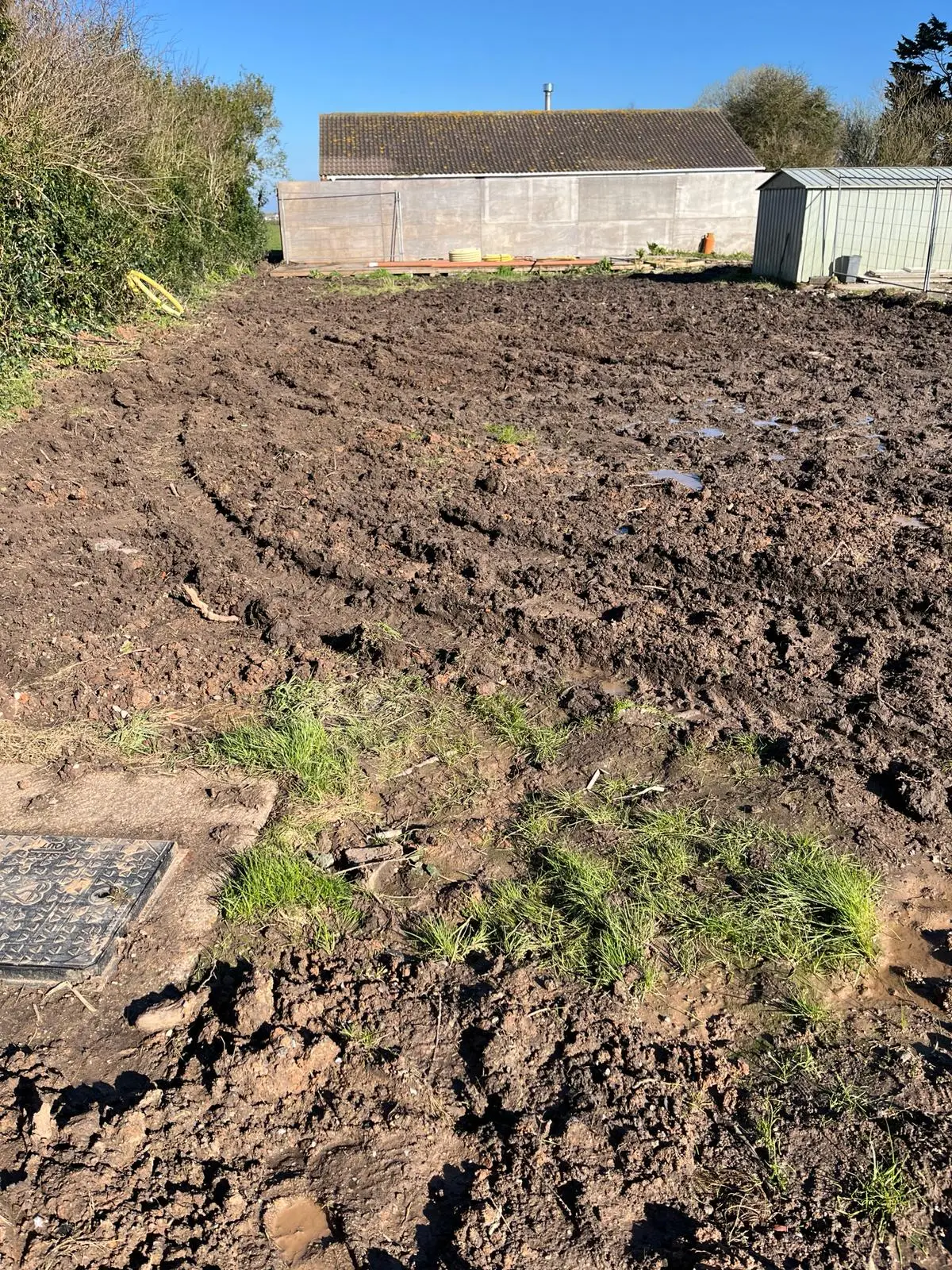 WhatsApp Image 2024-03-04 at 11.02.56_cf63d3dd